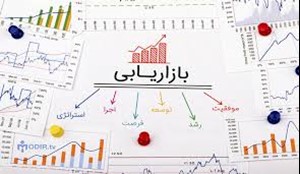 ارائه نرم‌افزارهای اختصاصی بازاریابی